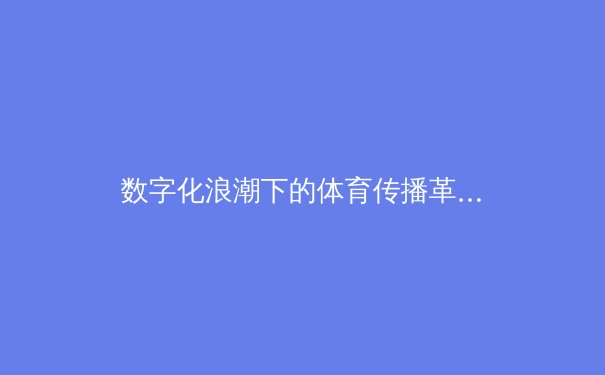 数字化浪潮下的体育传播革命：沉浸式观赛如何重塑产业生态 - 2